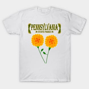 Pennsylvania State Parks T-Shirt